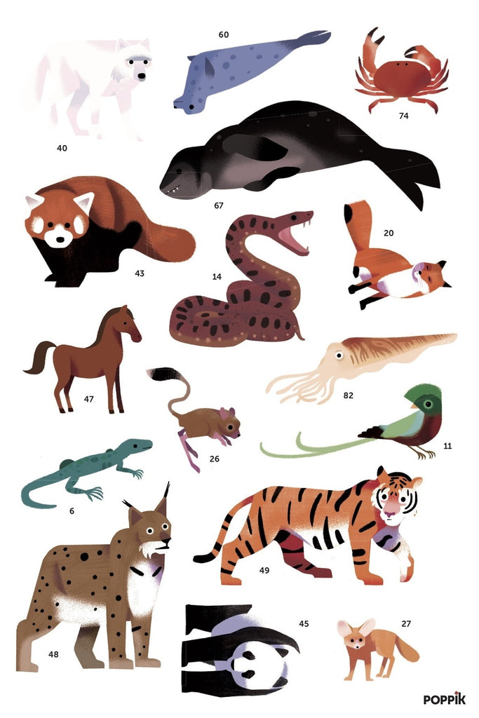 Poppik Discovery Sticker Poster - Animals of The World-DISCOVERY STICKER POSTERS-5-Kidsmondo
