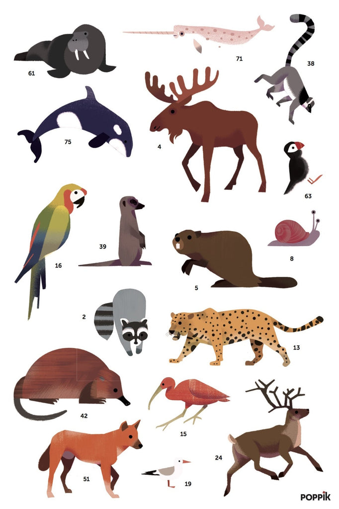 Poppik Discovery Sticker Poster - Animals of The World-DISCOVERY STICKER POSTERS-4-Kidsmondo
