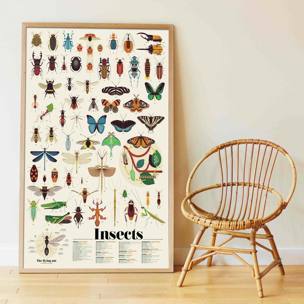 Poppik Discovery Sticker Poster - Insects-DISCOVERY STICKER POSTERS-5-Kidsmondo